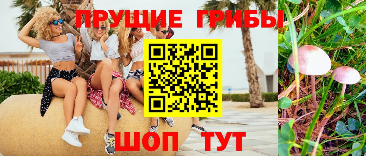 Псилоцибиновые грибы мухоморы Похвистнево
