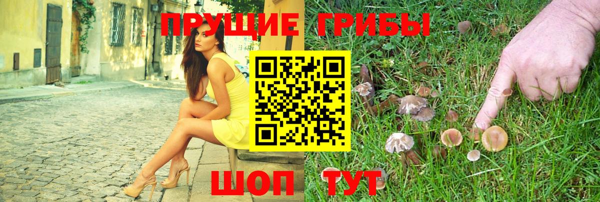 Похвистнево  Галлюциногенные грибы Magic Shrooms  Вход с VPN 